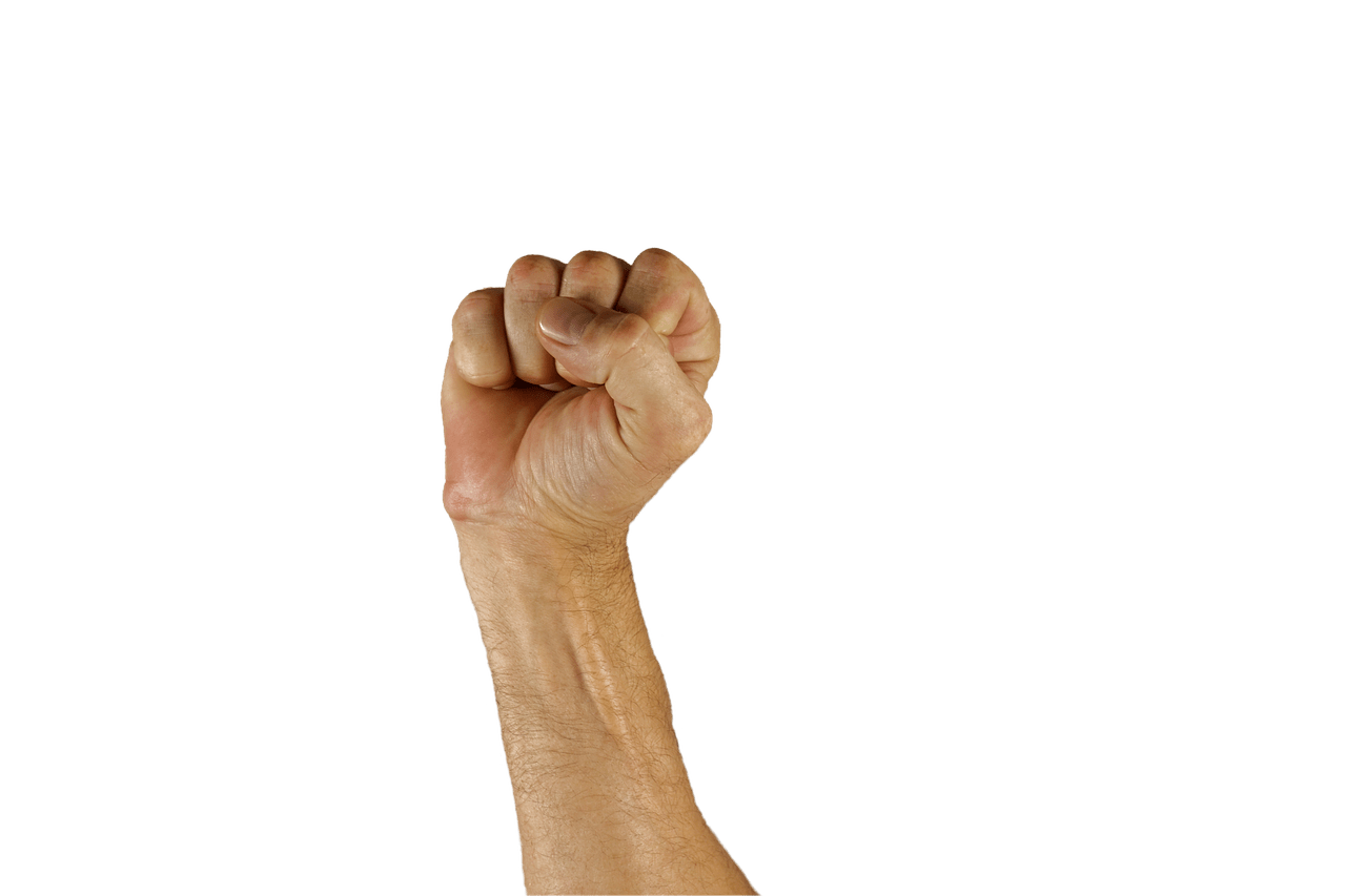 fist, hand, sign language-1006416.jpg