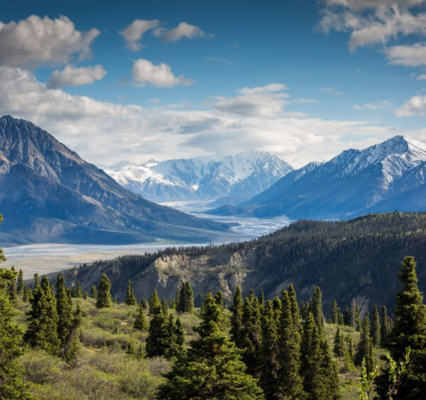 Services / Prices Service Img 03