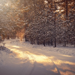 About Service Img Small